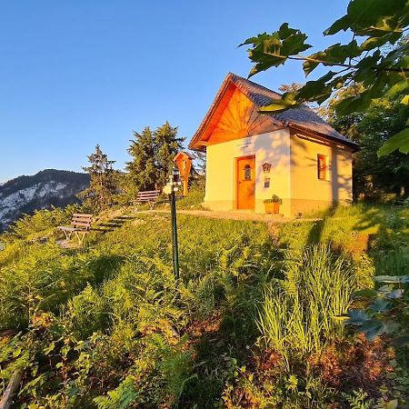 Ferien Am Sonnberg Daire Unken Dış mekan fotoğraf